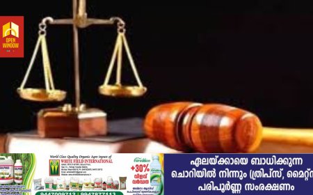 ജില്ലയിലെ തദ്ദേശ അദാലത്ത് ആഗസ്റ്റ് 30 ന് :സംഘാടകസമിതി യോഗം ചേർന്നു
