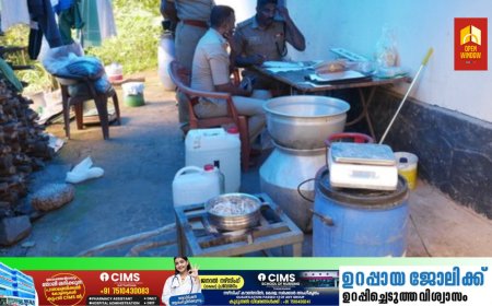 ഇടുക്കിയിൽ വൻ കഞ്ചാവ് വ്യാജ  മദ്യവേട്ട ;രാജാക്കാട് ഉണ്ടമലയിൽ നിന്നും 12 കിലോയിലധികം കഞ്ചാവും,25 ലിറ്റർ വ്യാജ മദ്യവും പിടികൂടി