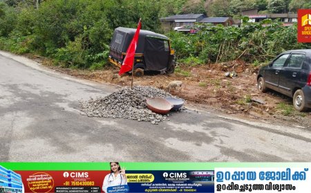 കൊച്ചി ധനുഷ്‌ക്കോടി ദേശീയ പാതയുടെ ഭാഗമായ നേര്യമംഗലം  വനമേഖലയില്‍ റോഡ് നവീകരണവുമായി ബന്ധപ്പെട്ട ജോലികള്‍ക്ക് തുടക്കം കുറിക്കണമെന്ന ആവശ്യം ശക്തമാകുന്നു