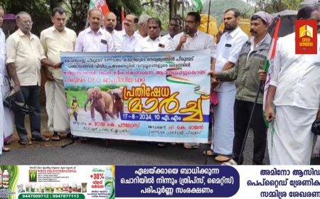 വന്യജീവി ആക്രമണത്തിൽ മരണമടയുന്നവരുടെ കുടുംബങ്ങൾക്ക് മൃതദേഹവുമായി പ്രതിഷേധം നടത്തിയാൽ മാത്രമേ നഷ്ടപരിഹാര തുക ലഭിക്കൂ എന്ന സാഹചര്യമാണുള്ളതെന്ന്  മുൻ ഡിസിസി പ്രസിഡണ്ട്
റോയ് K പൗലോസ്