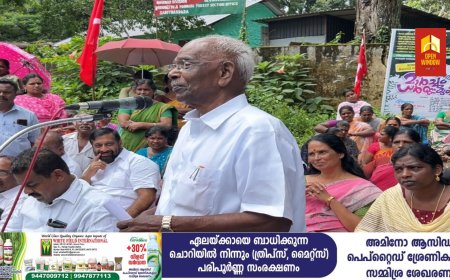 ഇടുക്കിയിലെ പട്ടയ വിഷയത്തില്‍ സംസ്ഥാന സർക്കാരിനെയും  വനം, റവന്യു വകുപ്പുകളെയും വിമര്‍ശിച്ച് എംഎം മണി എം എല്‍ എ