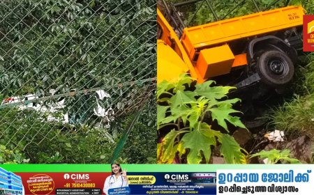 പീരുമേട് കുട്ടിക്കാനം റോഡിൽ രണ്ടു വാഹനാപകടങ്ങൾ