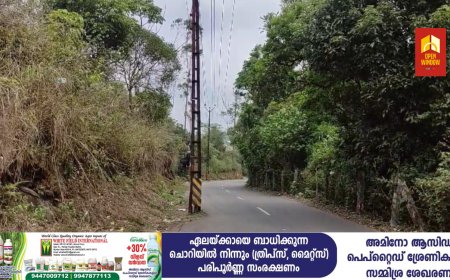 ഏലപ്പാറ - വാഗമൺ റോഡിൽ വാഹന ഡ്രൈവർമാർക്ക് അപകട ഭീഷണി ഉയർത്തി വൈദ്യുതി പോസ്റ്റുകൾ;വീതി കുറഞ്ഞ ഭാഗത്ത് റോഡിലേക്ക് കയറി പോസ്റ്റ് നിൽക്കുന്നതിനാൽ ഗതാഗത കുരുക്കും പതിവ് കാഴ്ച