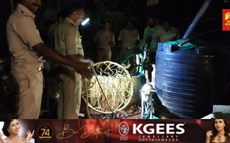 കിണറ്റിൽ വീണ നായക്ക് രക്ഷക്കാരായി കട്ടപ്പന ഫയർഫോഴ്സ്