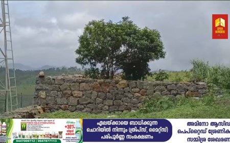 പീരുമേട് പരുന്തുംപാറയിലെ ഭൂമി കയ്യേറ്റം; കയ്യേറ്റം ഒഴിപ്പിച്ചെങ്കിലും  കയ്യേറ്റക്കാർക്ക് എതിരെ കേസെടുക്കാതെ അധികൃതർ