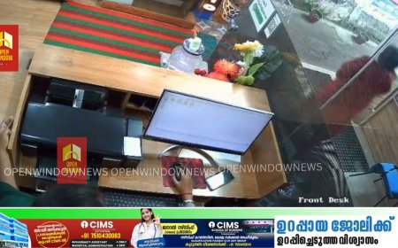 മൂന്നാറില്‍ പ്രവര്‍ത്തിക്കുന്ന സ്വര്‍ണ്ണ വ്യാപാര ശാലയില്‍ നിന്നും മാല മോഷ്ടിച്ച ശേഷം അടിമാലിയില്‍ എത്തിച്ച് വില്‍പ്പന നടത്താന്‍ ശ്രമിക്കുന്നതിനിടെ ചാലക്കുടി സ്വദേശിനി  പിടിയിൽ