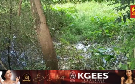 ഇടുക്കിക്കവല ബൈപാസ് റോഡരികിൽ മലിനജലം 
 കെട്ടിക്കിടക്കുന്നു: കൊതുകുശല്യം രൂക്ഷം