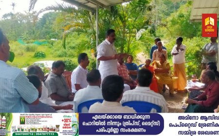 കട്ടപ്പന കല്യാണത്തണ്ട് ഭൂ വിഷയത്തിൽ പ്രതിഷേധം ശക്തമാകുന്നു