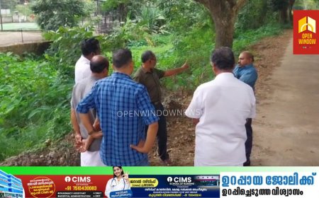 കട്ടപ്പന ബൈപ്പാസ് റോഡിന്റെ സമീപത്തെ കൊതുക് വളരുന്ന വെള്ളക്കെട്ടിന് പരിഹാരം കാണാൻ നടപടി ആരംഭിക്കുന്നു