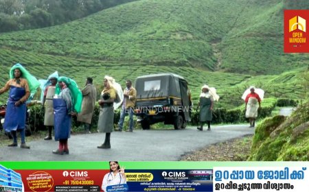 മൂന്നാര്‍ കടലാര്‍ എസ്‌റ്റേറ്റില്‍ പുലിയിറങ്ങി. തോട്ടം ജോലിയ്ക്ക് പോയ തൊഴിലാളികൾ പുലിയെ കണ്ട് ഭയന്നോടി