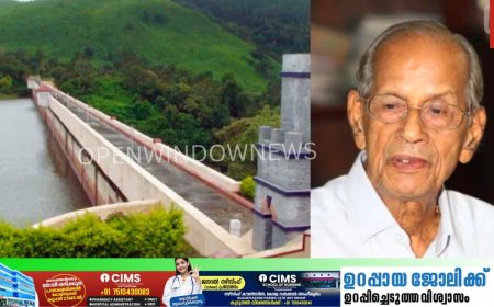 പുതിയ ഡാമിന് പകരം ടണൽ നിർമിക്കണം; മുല്ലപ്പെരിയാറിൽ ബദൽ നിർദേശവുമായി മെട്രോമാൻ ഇ ശ്രീധരൻ