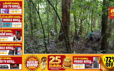 പീരുമേട് നിന്ന് ആരംഭിക്കുന്ന 110 കെ വി പവർ ലൈൻ പ്രാരംഭ സർവ്വേ  ഇന്ന് പൂർത്തിയാകും