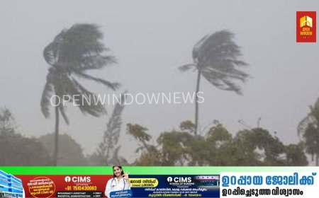 അതിതീവ്ര ന്യൂനമർദം 'അസ്ന' ചുഴലിക്കാറ്റാകുന്നു; കേരളത്തിൽ കാലവർഷം വീണ്ടും ശക്തിപ്രാപിച്ചു