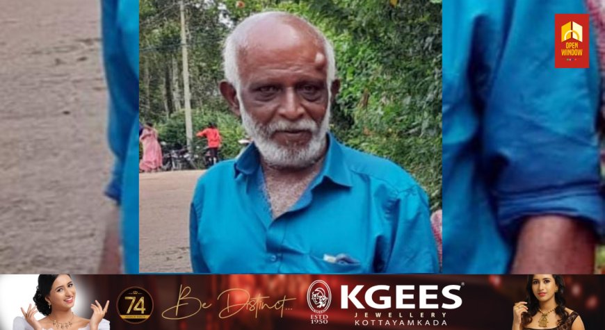 കട്ടപ്പന കല്യാണത്തണ്ടിൽ ഓട്ടോറിക്ഷ മറിഞ്ഞ് ഗൃഹനാഥൻ മരിച്ചു