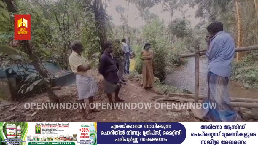 അയ്യപ്പൻകോവിൽ പഞ്ചായത്തിലെ മേരികുളം വരവുകാല -മാരിയിൽപ്പടി നടപ്പാത അയ്യപ്പൻകോവിൽ പഞ്ചായത്ത് അധികൃതർ സ്ഥലത്തെത്തി പരിശോധ നടത്തി