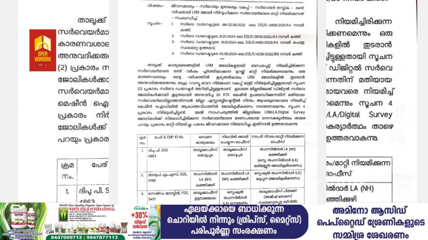ഇടുക്കിയിൽ പട്ടയനടപടി അട്ടിമറിക്കാൻ നീക്കം;
ഉദ്യോഗസ്ഥരെ കൂട്ടത്തോടെ സ്ഥലം മാറ്റി