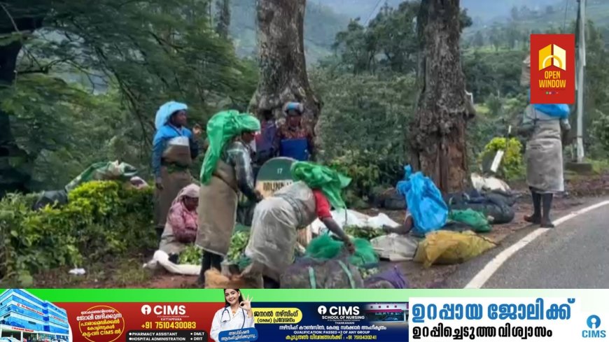 വയനാടിനെ കൈപിടിച്ച് ഉയര്ത്താന് ഒത്തൊരുമിച്ച് മൂന്നാറിലെ തോട്ടം തൊഴിലാളികളും