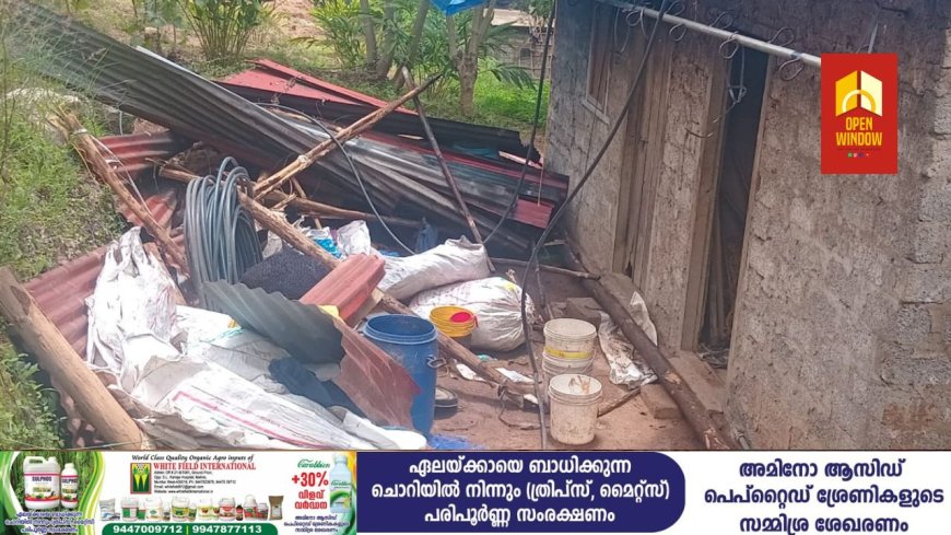 ചിന്നക്കനാലിൽ കാട്ടാന ആക്രമണം