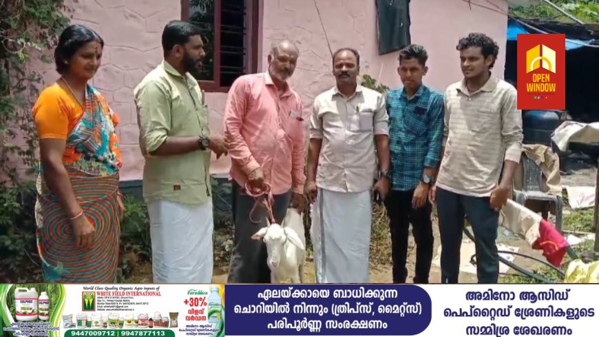 വയനാടിന് കൈത്താങ്ങായി ജീവനോപാധിയായ ആടിനെ നൽകി ദമ്പതികൾ