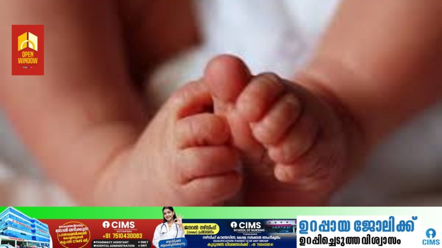 ഇടുക്കി ഉടുമ്പൻചോലയിൽ നവജാത ശിശുവിനെ മരിച്ച നിലയിലും മുത്തശ്ശിയെ അവശനിലയിലും കണ്ടെത്തി