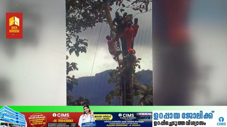 അടിമാലിക്ക് സമീപം മരം മുറിക്കാൻ കയറിയ യുവാവ്  അസുഖ ബാധയെ തുടർന്ന് മരത്തിൽ കുടുങ്ങി: രക്ഷകരായി അടിമാലി ഫയർ ഫോഴ്സ്