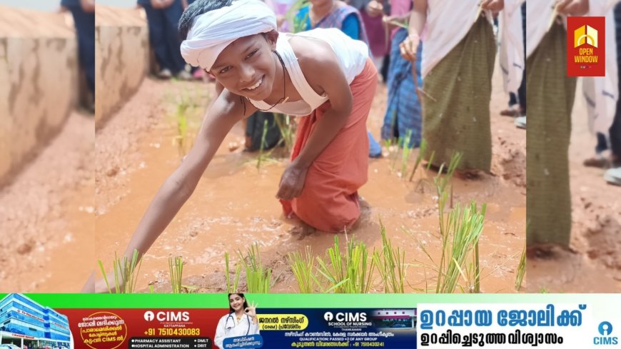 നെൽ കൃഷിയുടെ  ബാലപാഠങ്ങൾ പകർന്നു നൽകി ഇരട്ടയാർ സെൻ്റ് തോമസ് സ്കൂൾ