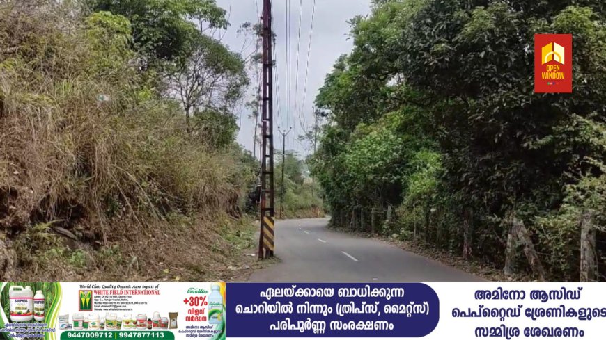 ഏലപ്പാറ - വാഗമൺ റോഡിൽ വാഹന ഡ്രൈവർമാർക്ക് അപകട ഭീഷണി ഉയർത്തി വൈദ്യുതി പോസ്റ്റുകൾ;വീതി കുറഞ്ഞ ഭാഗത്ത് റോഡിലേക്ക് കയറി പോസ്റ്റ് നിൽക്കുന്നതിനാൽ ഗതാഗത കുരുക്കും പതിവ് കാഴ്ച