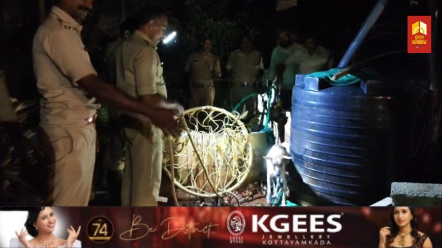 കിണറ്റിൽ വീണ നായക്ക് രക്ഷക്കാരായി കട്ടപ്പന ഫയർഫോഴ്സ്