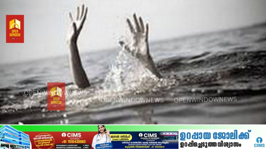 മാങ്കുളത്ത് യുവാവ് പുഴയിൽ മുങ്ങി മരിച്ചു