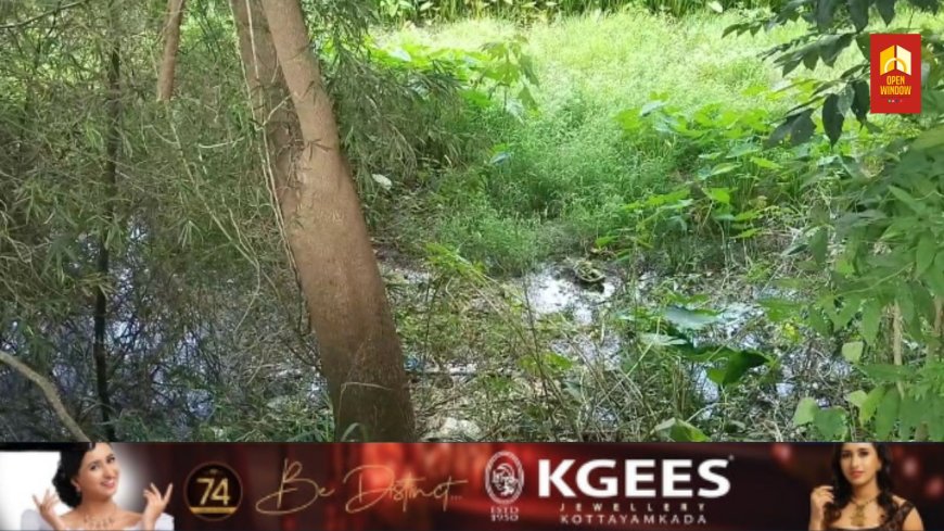ഇടുക്കിക്കവല ബൈപാസ് റോഡരികിൽ മലിനജലം
കെട്ടിക്കിടക്കുന്നു: കൊതുകുശല്യം രൂക്ഷം