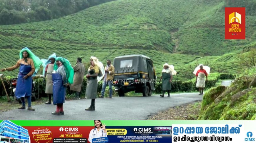 മൂന്നാര് കടലാര് എസ്റ്റേറ്റില് പുലിയിറങ്ങി. തോട്ടം ജോലിയ്ക്ക് പോയ തൊഴിലാളികൾ പുലിയെ കണ്ട് ഭയന്നോടി