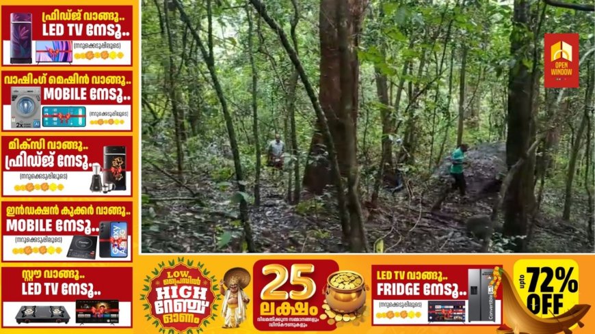 പീരുമേട് നിന്ന് ആരംഭിക്കുന്ന 110 കെ വി പവർ ലൈൻ പ്രാരംഭ സർവ്വേ ഇന്ന് പൂർത്തിയാകും