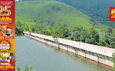 ഇടുക്കി, ചെറുതോണി ഡാമുകൾ  സന്ദർശിക്കാൻ പൊതുജനങ്ങൾക്ക് അനുമതി