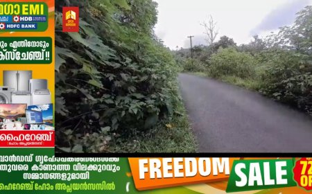 കാഴ്ച മറച്ച് കാടുകൾ, . ഉപ്പുതറ കാപ്പിപ്പാറ റോഡിലൂടെയുള്ള വാഹന, കാൽനട യാത്ര ദുഷ്ക്കരം