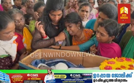 വണ്ടിപ്പെരിയാറിൽ ആറാം ക്ലാസ് വിദ്യാർത്ഥി മരിച്ചത്  പാമ്പ് കടിയേറ്റെന്ന്  പ്രാഥമിക നിഗമനം