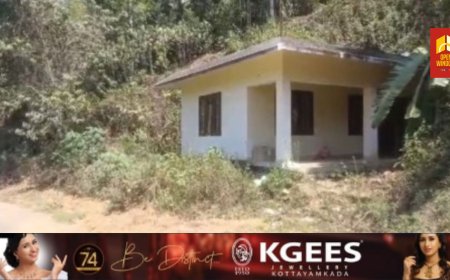 ചപ്പാത്ത് മരുതുംപേട്ട ശാന്തി പാലത്ത്   ജില്ലാ പഞ്ചായത്ത് നിർമ്മിച്ച പകൽവീട് കാടുകയറി നശിക്കുന്നതായി പരാതി