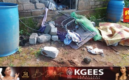 ചിന്നക്കനാൽ 301 കോളനിയിൽ കാട്ടാന ആക്രമണം