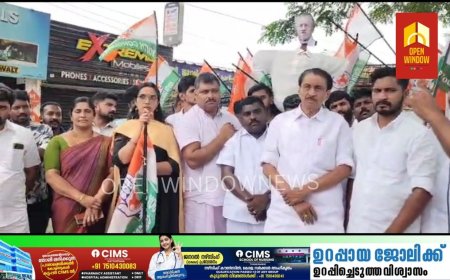 എഡിജിപി  എം. ആർ അജിത് കുമാറും പി. ശശിയും പിണറായി വിജയന്റെ മാഫിയ ഏജന്റുമാർ: ഡി സി സി പ്രസിഡൻ്റ് സി. പി മാത്യു