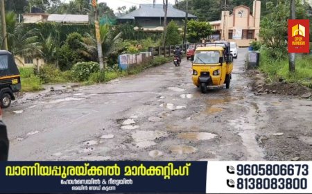 മലയോര ഹൈവേയുടെ ഭാഗമായ ഇരുപതേക്കർ പാലത്തിന്റെ   നിർമ്മാണം വൈകുന്നതായി പരാതി