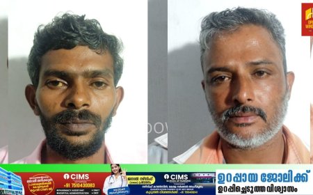 കട്ടപ്പനയിൽ ഏലത്തിൻ്റെ ശരങ്ങൾ മോഷ്ടിച്ച് കടത്തി; പ്രതികൾ അറസ്റ്റിൽ