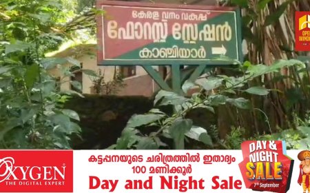 കാഞ്ചിയാർ പള്ളികവലയിൽ റവന്യൂ ഭൂമി വനഭൂമി എന്നാക്കി മാറ്റുവാൻ വില്ലേജ് ആഫീസിലെ രേഖകളിൽ റിസർവ് ഭൂമി എന്നാക്കി  കൃത്യമം കാട്ടിയതായി പരാതി