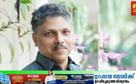 ബംഗളൂരുവിൽ   ഉണ്ടായ വാഹനാപകടത്തിൽ  കട്ടപ്പന വള്ളക്കടവ് സ്വദേശി മരണപ്പെട്ടു