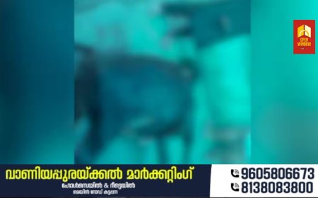 പിറവത്ത് മിണ്ടാപ്രാണിയോട് ക്രൂരത, 6 പശുക്കളെ വെട്ടിപ്പരിക്കേൽപിച്ചു, ഒരെണ്ണം ചത്തു; ഒരാൾ കസ്റ്റഡിയിൽ