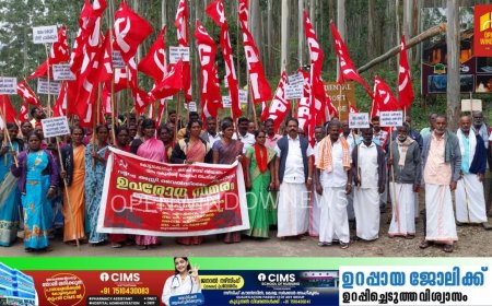 വനംമന്ത്രി ഇടുക്കി  ജില്ലയിൽ യോഗം 
വിളിക്കണം : സി പി ഐ ജില്ലാ സെക്രട്ടറി കെ സലിംകുമാർ