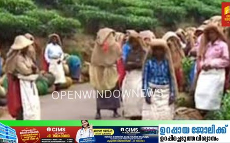 ഹാരിസൺസ് മലയാളം പ്ലാന്റ്റ്റേഷൻ തൊഴിലാളികളുടെ ബോണസ് തീരുമാനമായി