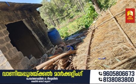 ചിന്നക്കനാലിൽ വീണ്ടും ചക്കകൊമ്പന്റെ ആക്രമണം