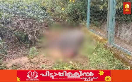 ഏലപ്പാറ പഞ്ചായത്തിൽ വീണ്ടും വന്യമൃഗ സാന്നിധ്യം. ഒന്നാം മൈൽ ജനവാസ മേഖലയിൽ തോട്ടത്തിൽ മേയാൻ വിട്ട പശുക്കടാവിനെ വന്യമൃഗം ആക്രമിച്ചു കൊലപ്പെടുത്തി