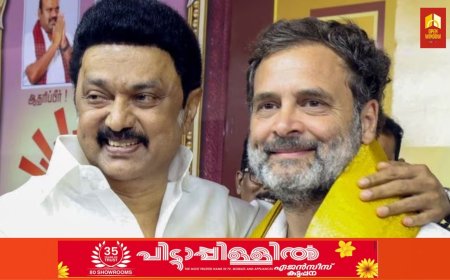 ഭീഷണികൾ ഞെട്ടിച്ചു, രാഹുലിന്‍റെ വ്യക്തിപ്രഭാവം പലരേയും അസ്വസ്ഥരാക്കി, കേന്ദ്രം ഇടപെടണം- സ്റ്റാലിൻ