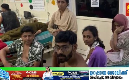 ഇടുക്കി മൂന്നാർ എക്കോ പോയിന്റിൽ വിനോദ സഞ്ചാരികളെ മർദ്ദിച്ചതായി പരാതി