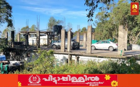 ചിന്നക്കനാലിൽ റവന്യു വകുപ്പ് സ്റ്റോപ്പ് മെമ്മോ നൽകിയ കെട്ടിടങ്ങൾക്ക് പഞ്ചായത്ത്‌ സെക്രട്ടറി പ്രവർത്തനാനുമതി നൽകി